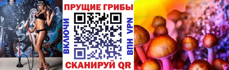 Галлюциногенные грибы Magic Shrooms  KRAKEN сайт  Пушкино 